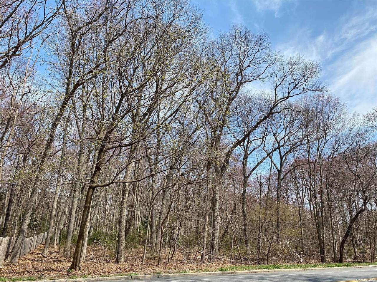 1629 Cedar Swamp Road - Photo 1