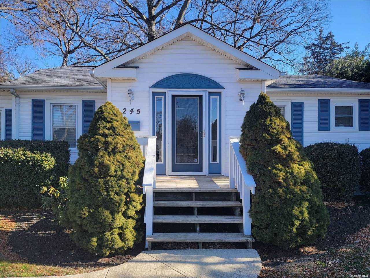 245 Ronkonkoma Avenue - Photo 1