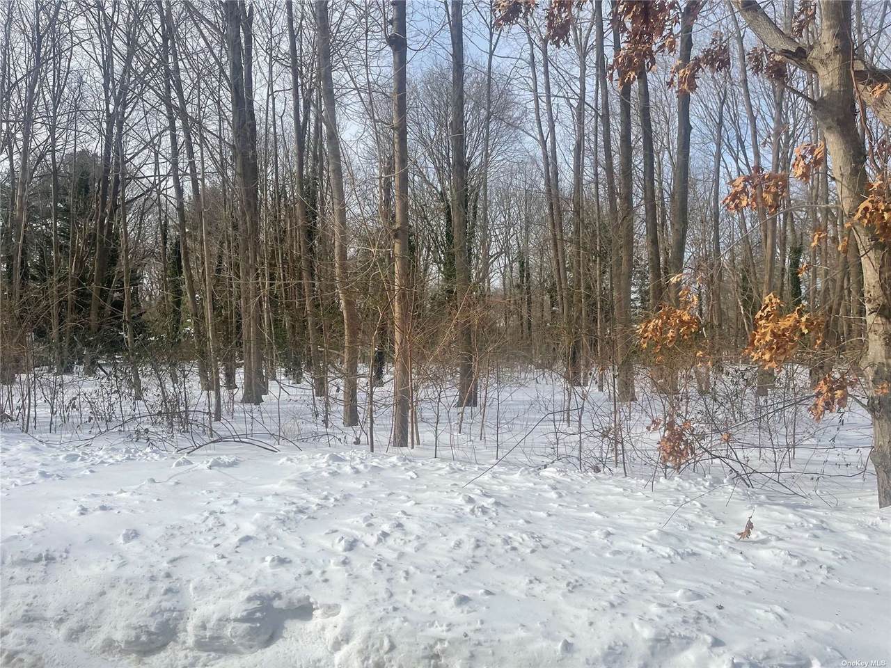 Lot 3 Hobson Avenue - Photo 1