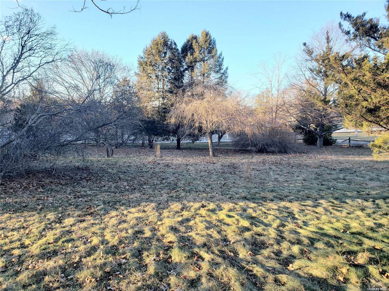189 Shade Tree Lane - Photo 1