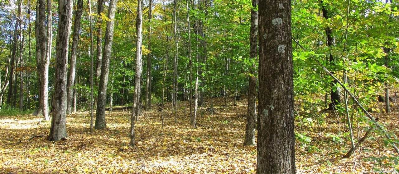 0 Ten Neighbors Rd - Photo 1