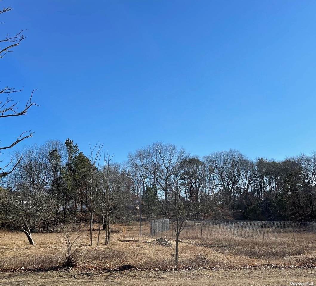 267 Old Country Road - Photo 1
