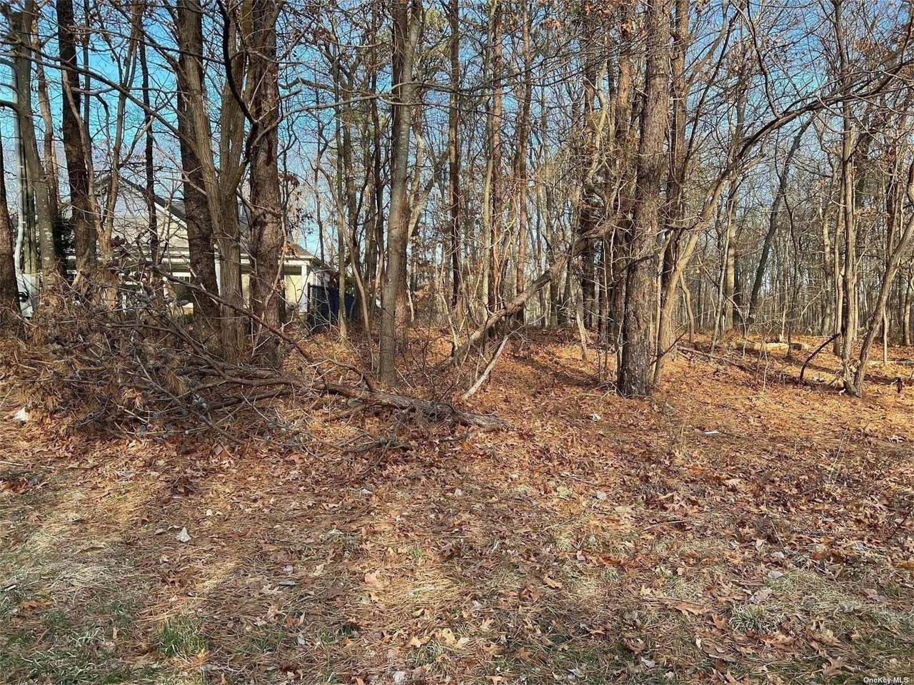 Lot 11 Manor Yaphank Road - Photo 1