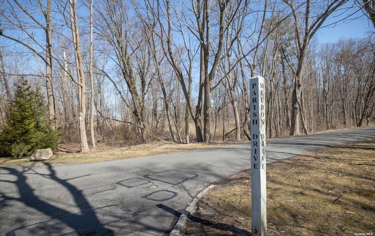 Lot#801 Meudon Drive - Photo 1