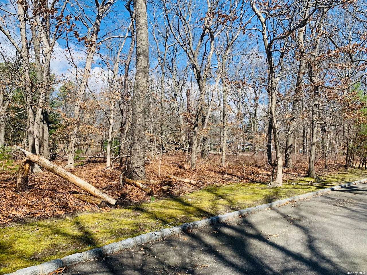 228 Pine Road - Photo 1
