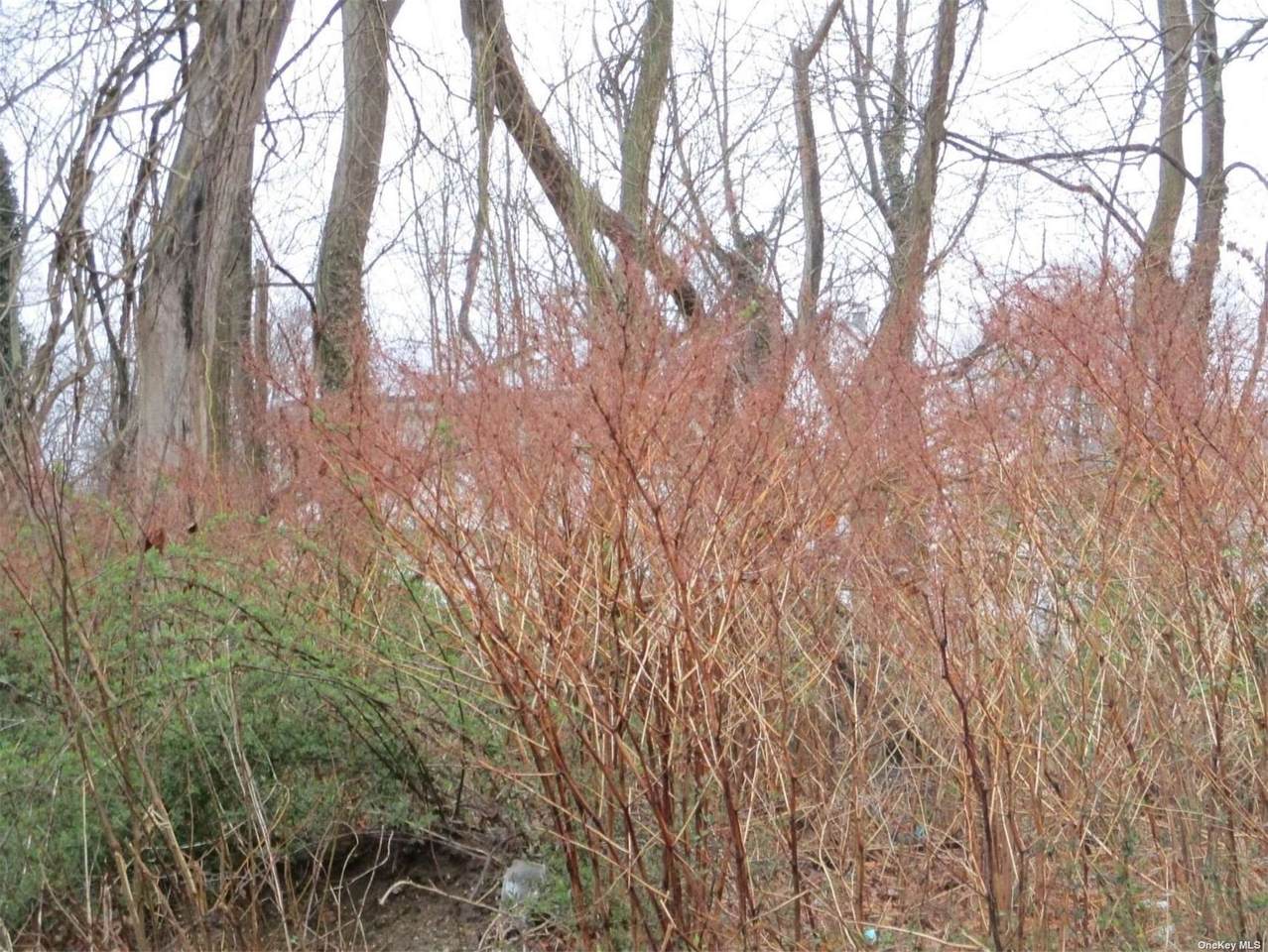 Garfield Avenue - Photo 1