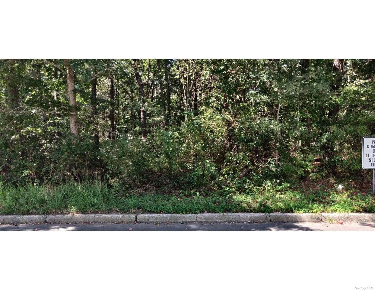 Lot A Haig Ave - Photo 1