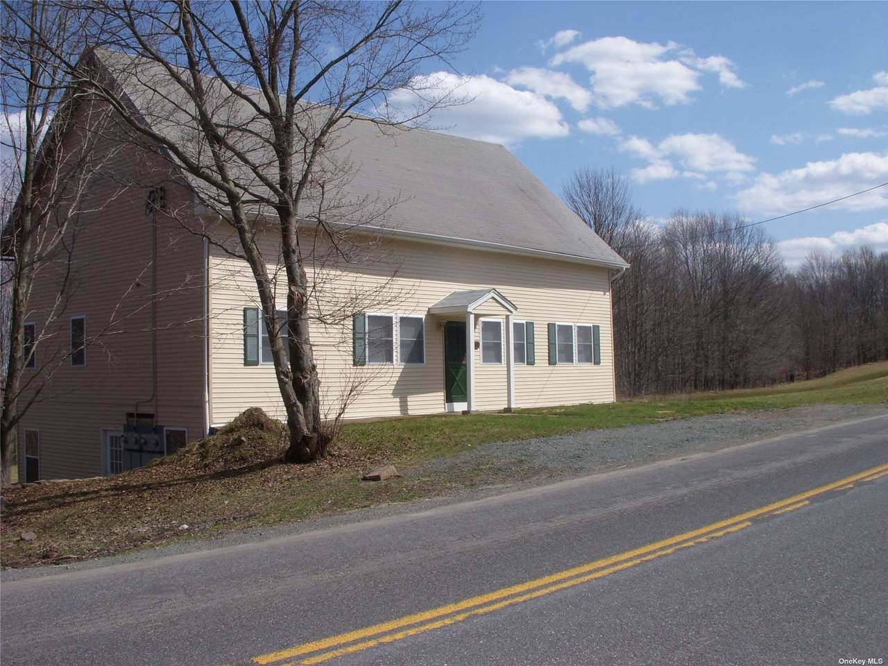 161 White Sulphur Rd Road - Photo 1