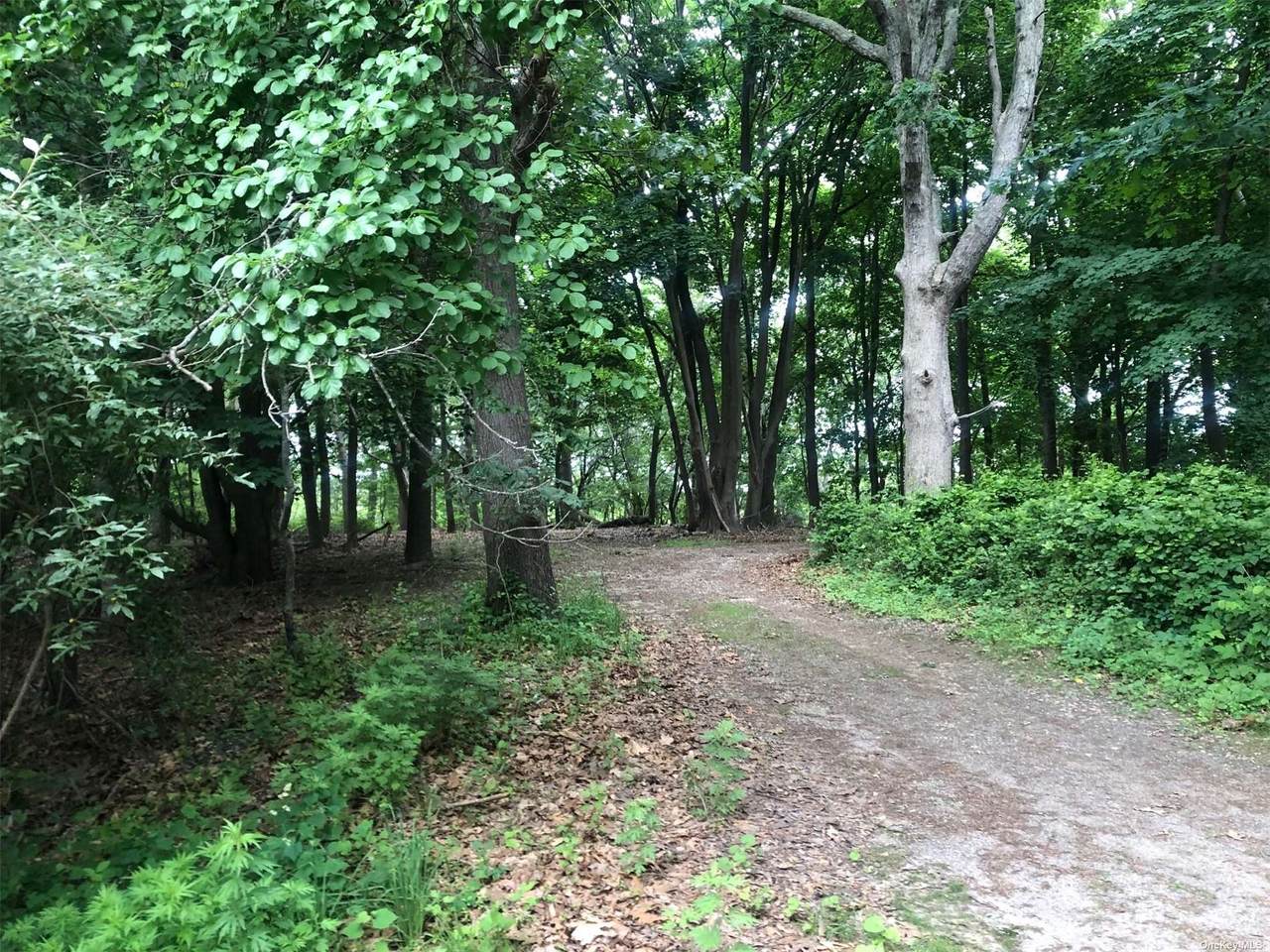 560 Wagon Wheel Lane - Photo 1