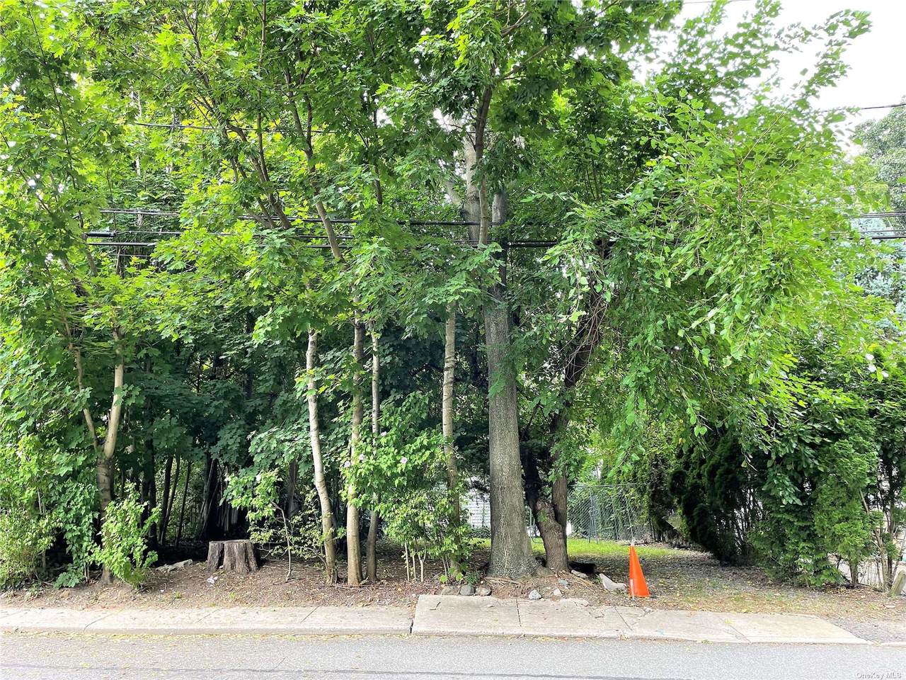 10 Willow Place - Photo 1