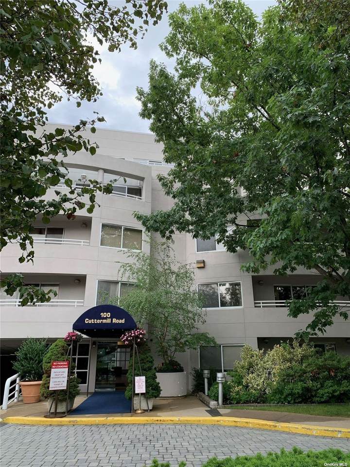 100 Cuttermill Road - Photo 1