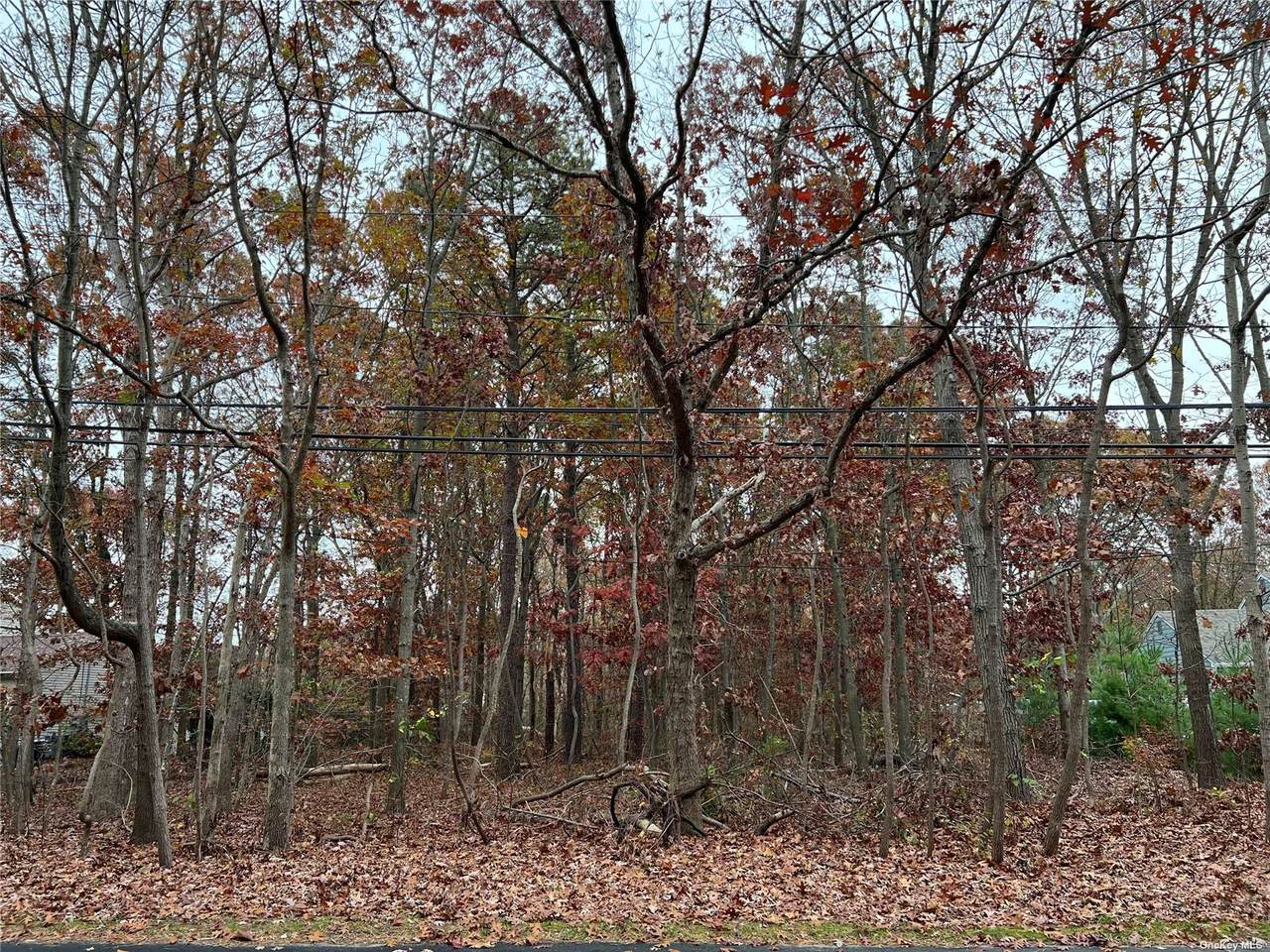 Pond Road - Photo 1