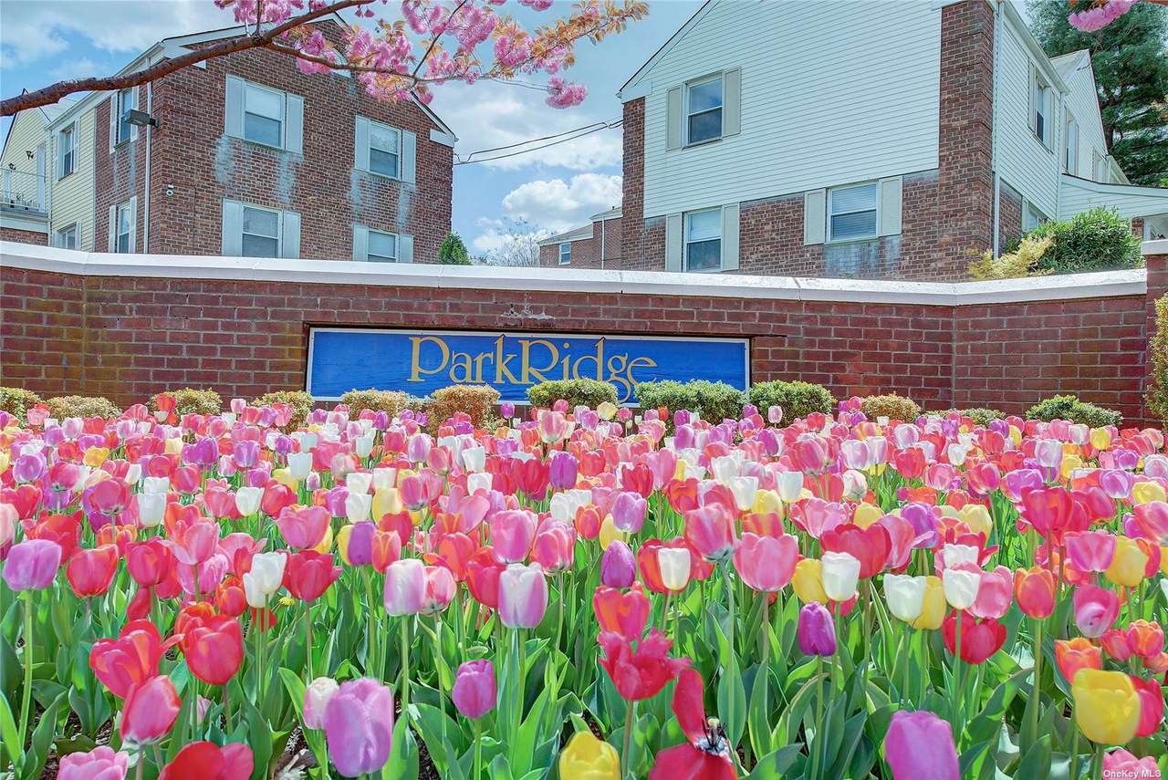 67-75B Cloverdale Lane - Photo 1