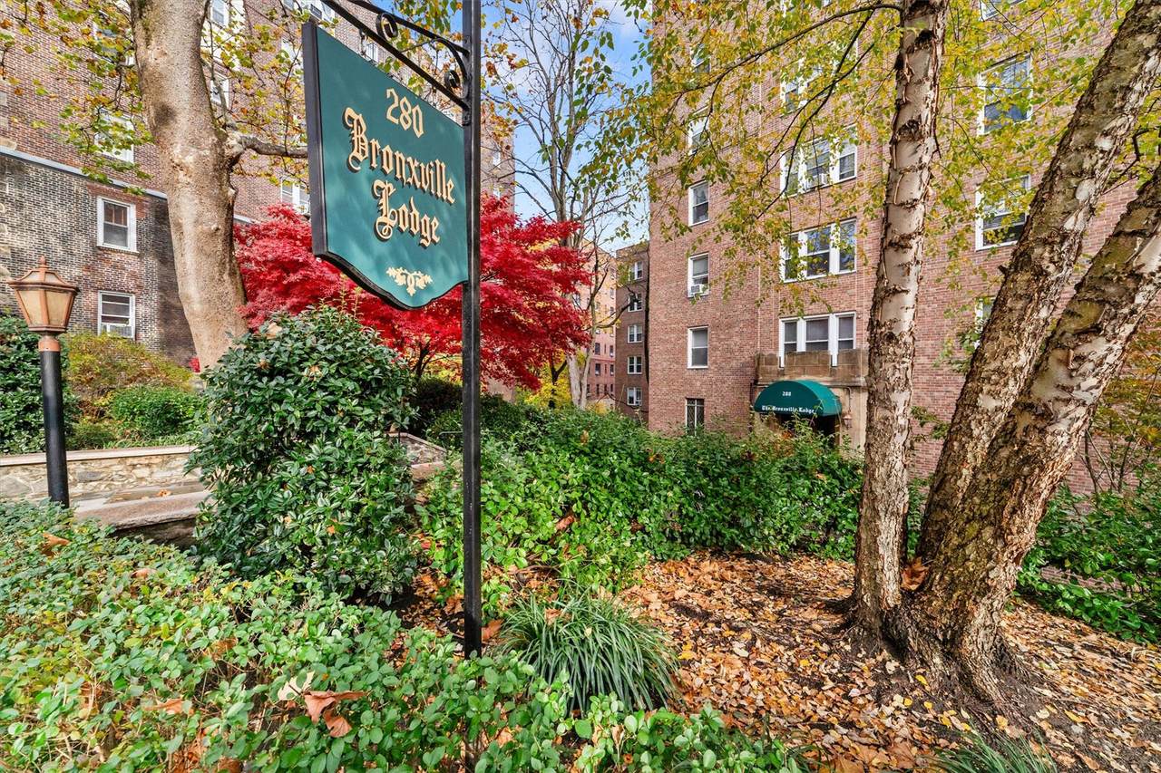 280 Bronxville Road - Photo 1