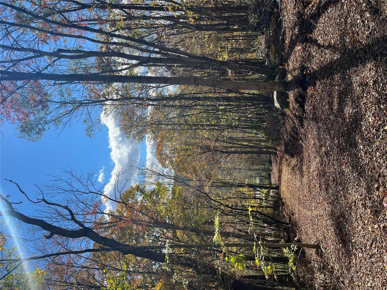 00 Debruce Road - Photo 1