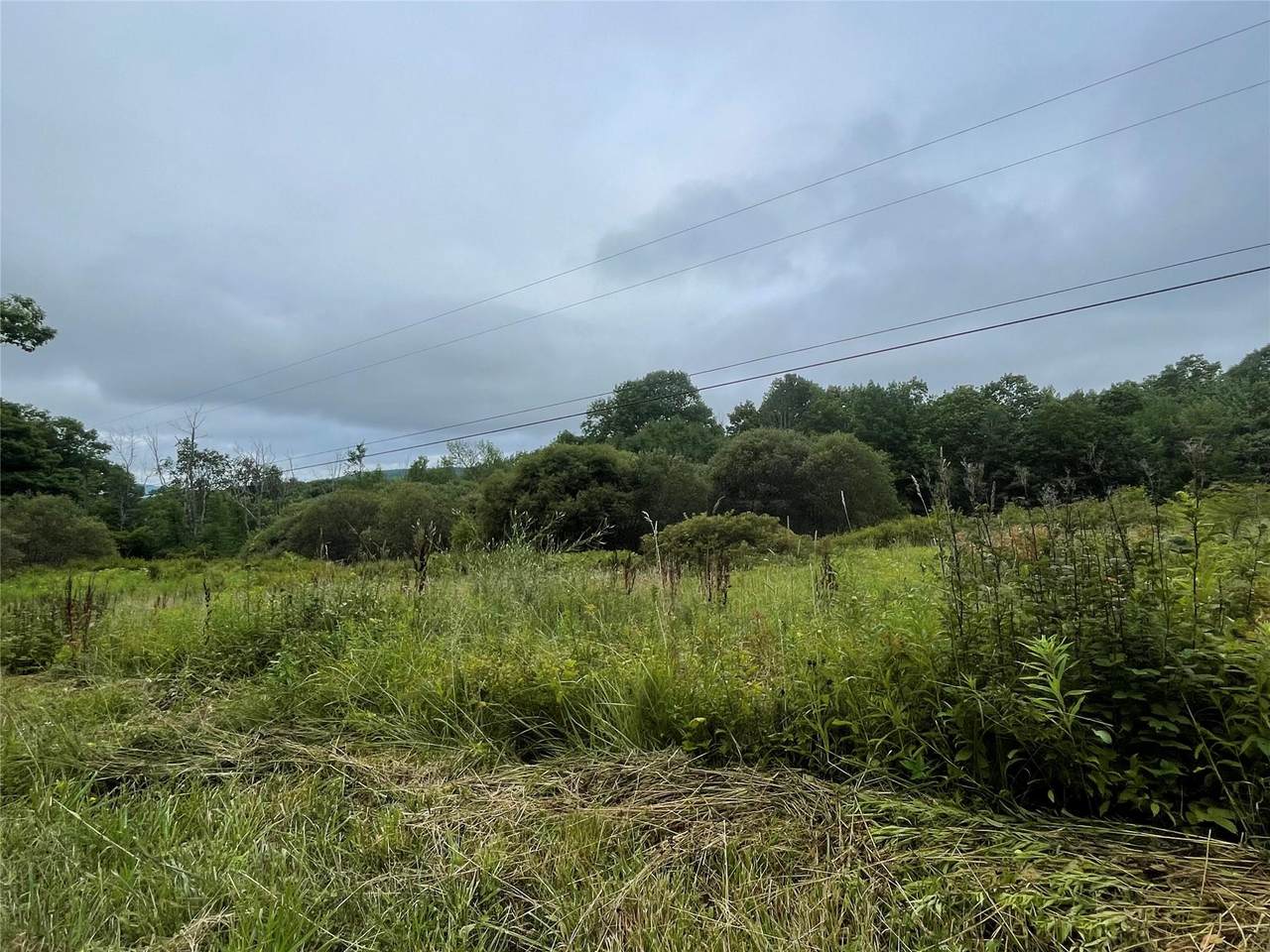  Basil Todd Road - Photo 1