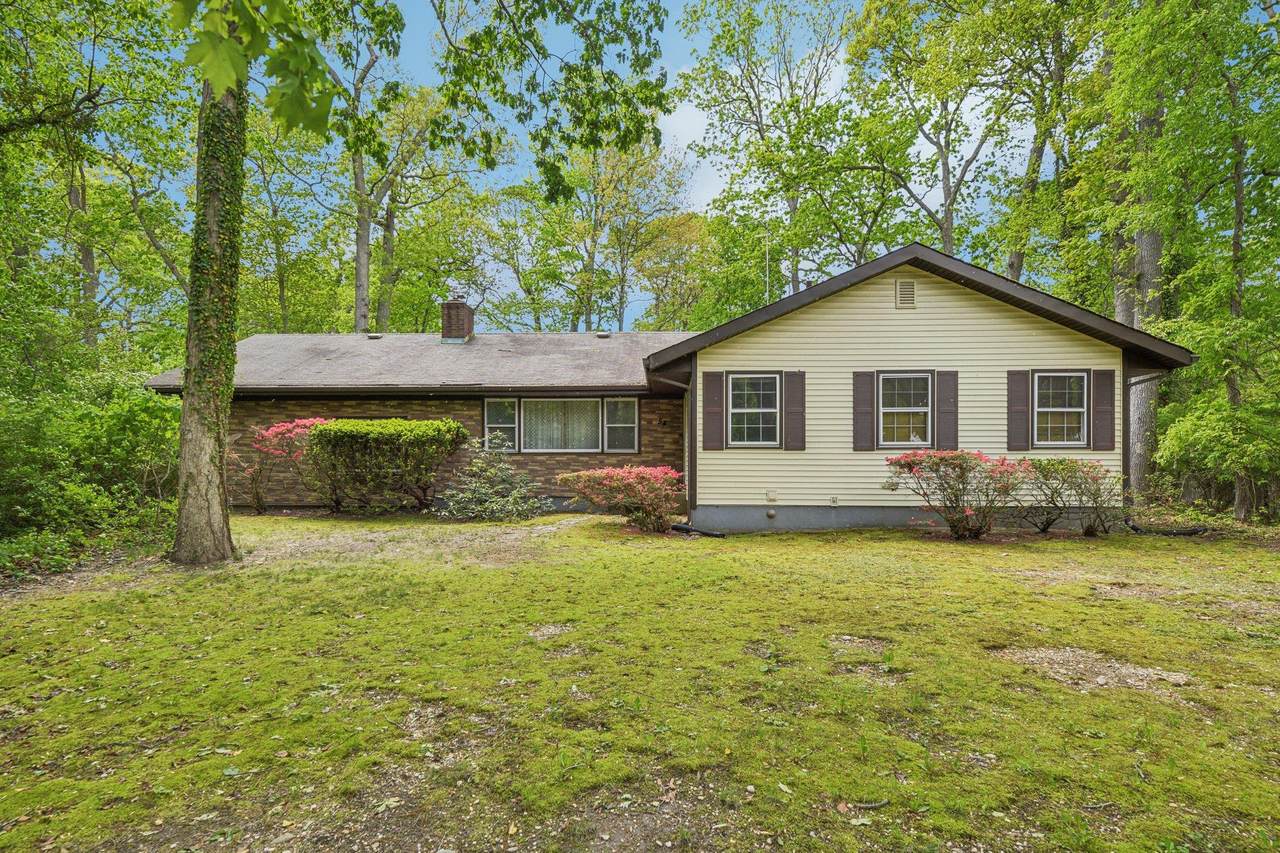 54 Cedar Street - Photo 1