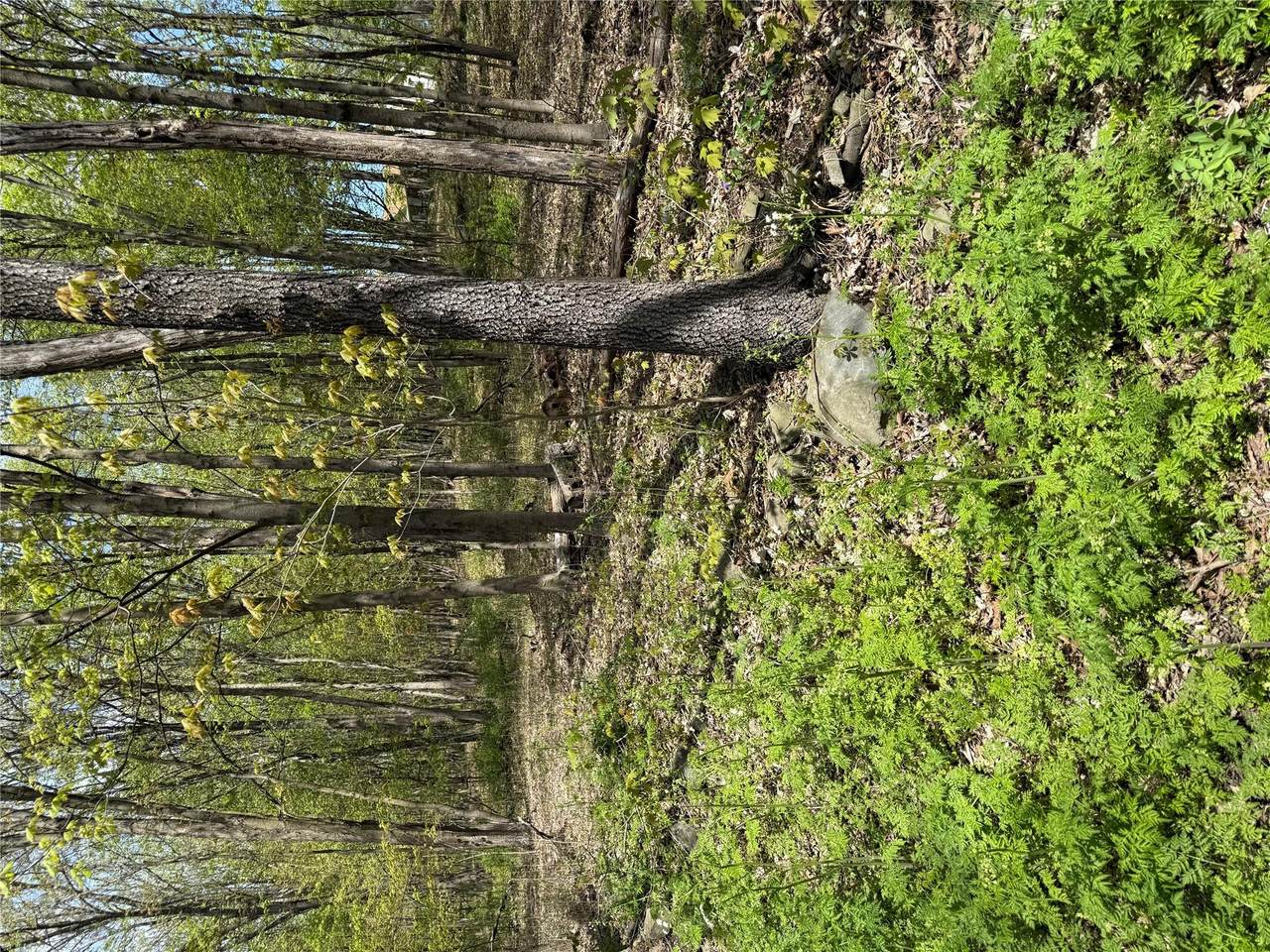 120 Floyd Ackert Road - Photo 1