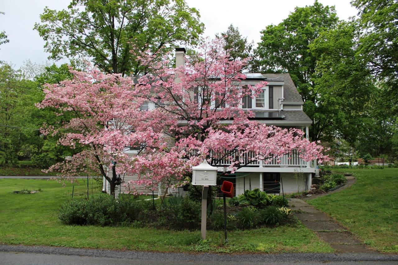 21 Overlook Road - Photo 1