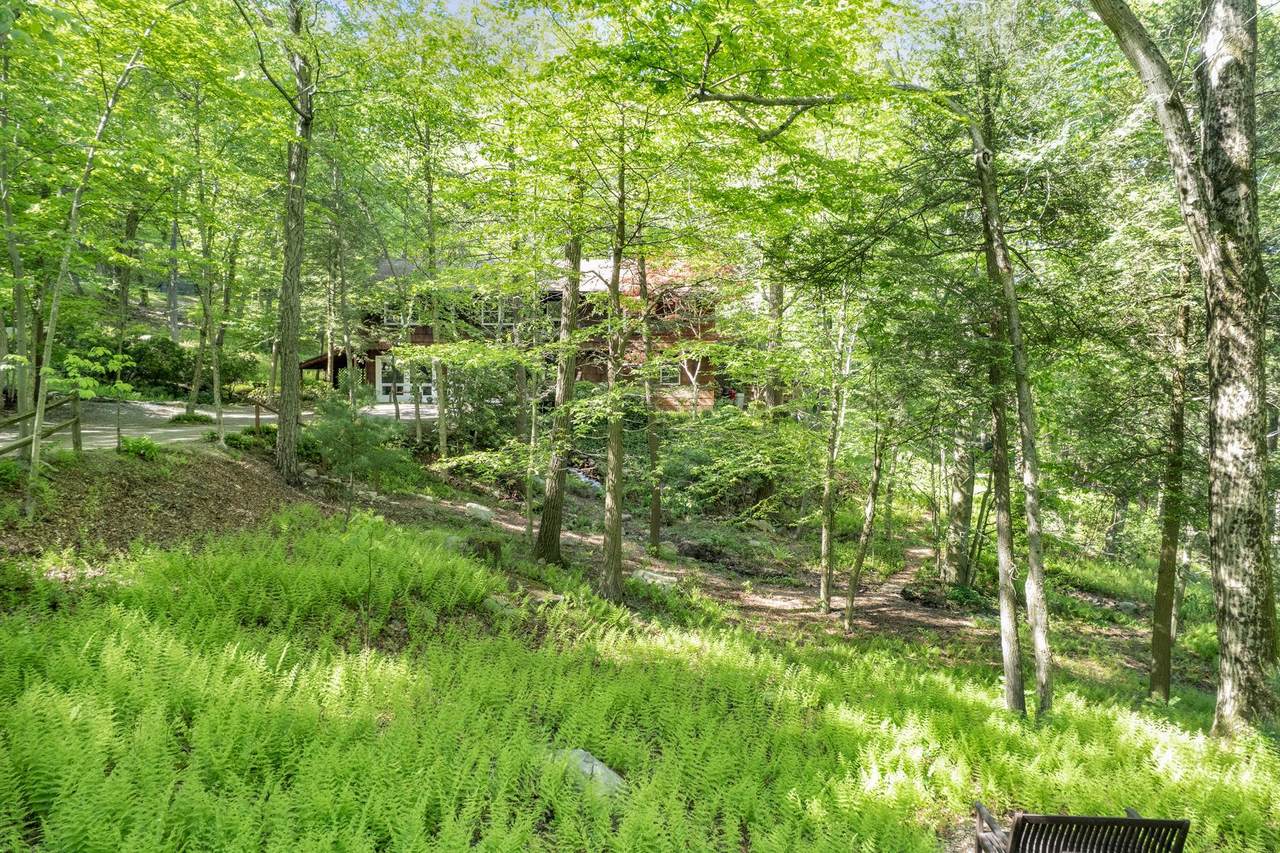 10 Mountain Pond - Photo 1