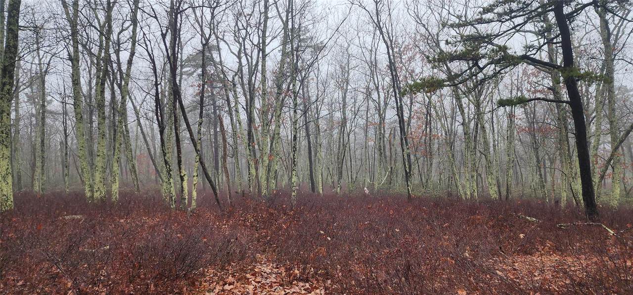  Peewee Trail - Photo 1