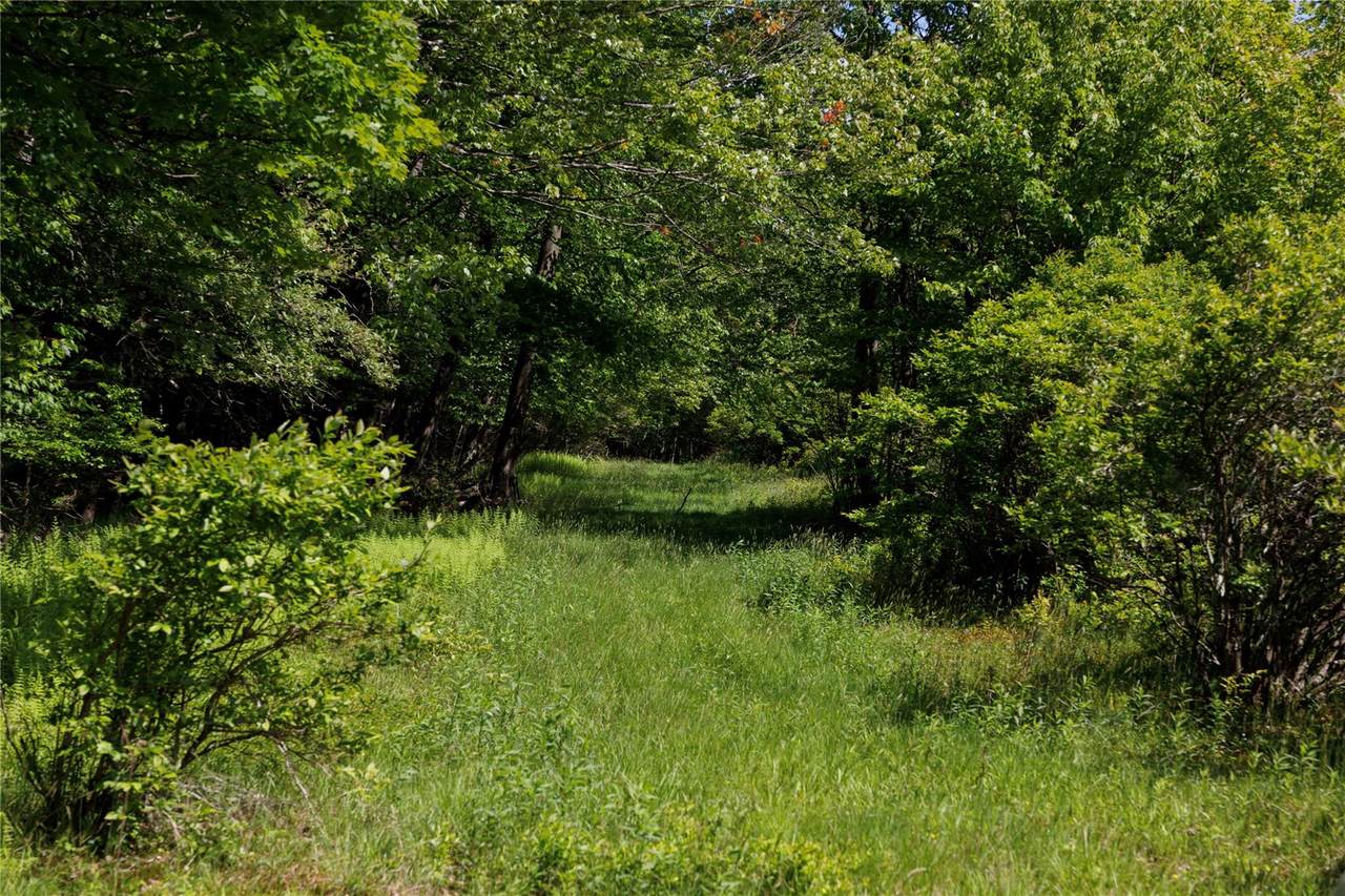 650 Thunder Hill Road - Photo 1