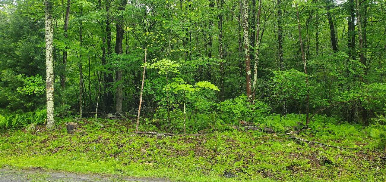 Tr 105 Cypert Road - Photo 1