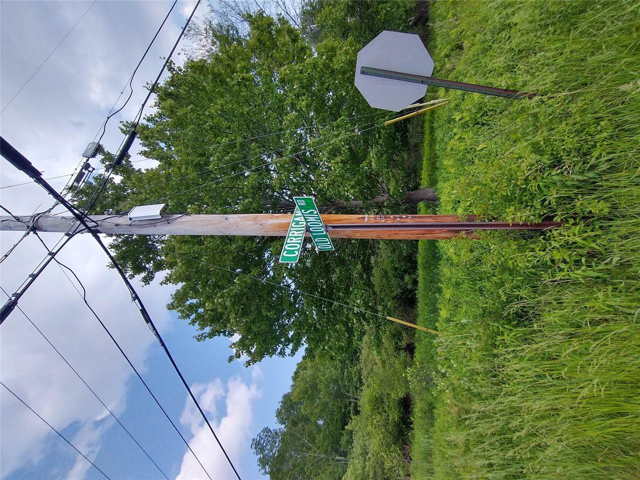  Old Loomis Road - Photo 1