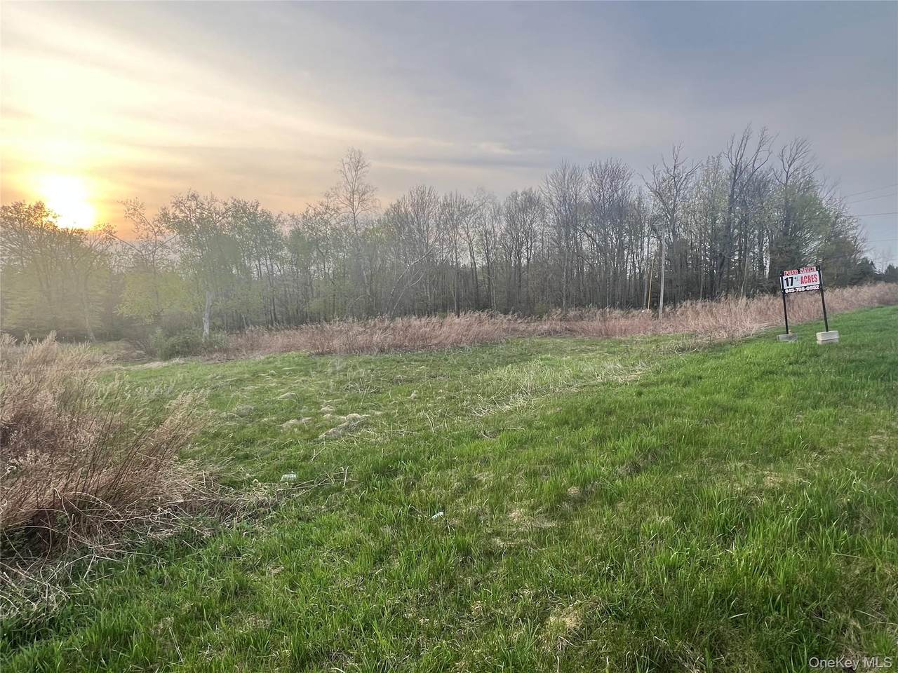 838 Old Liberty Road - Photo 1