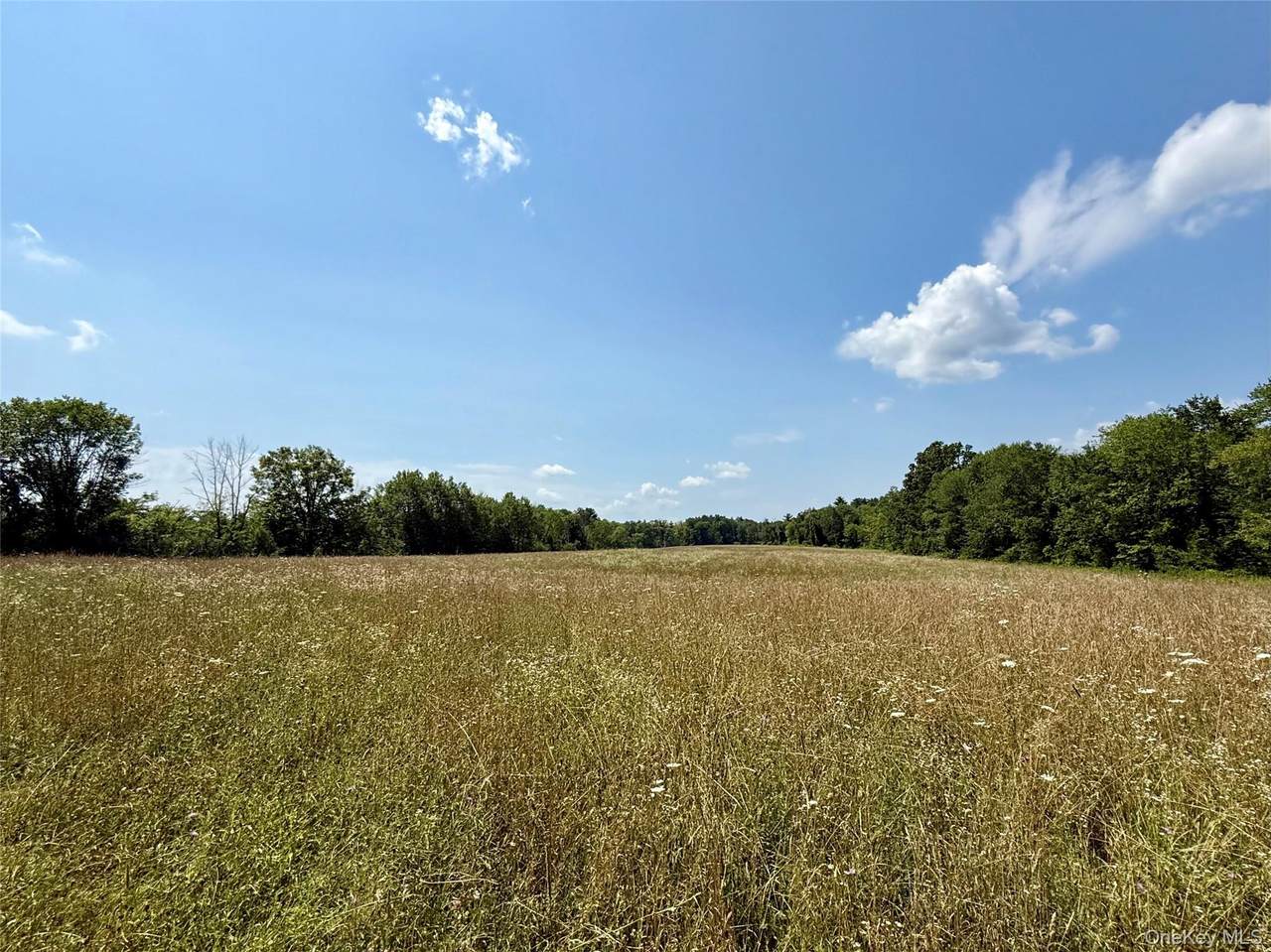  Shawangunk Road - Photo 1