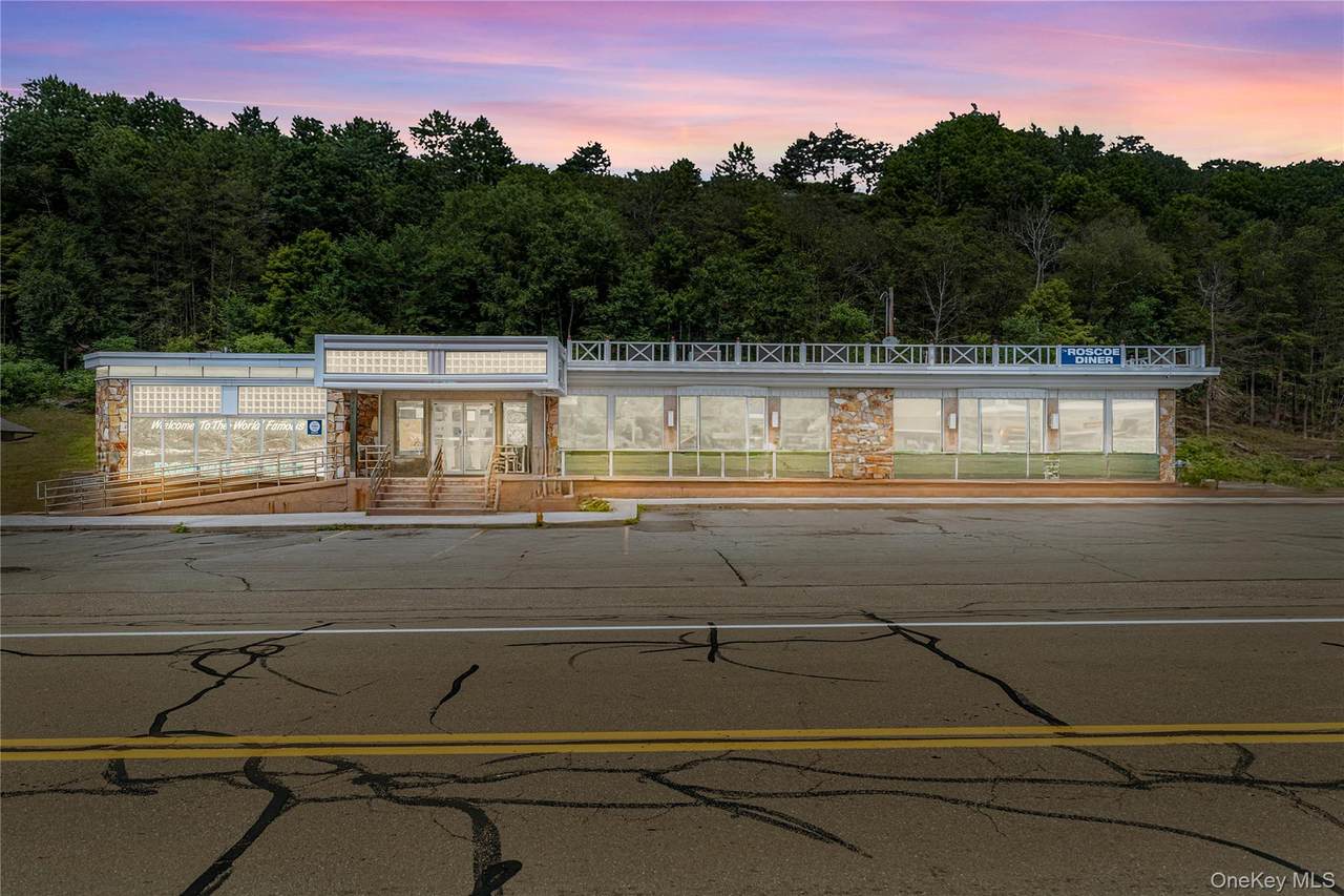 1908 Old Route 17 - Photo 1