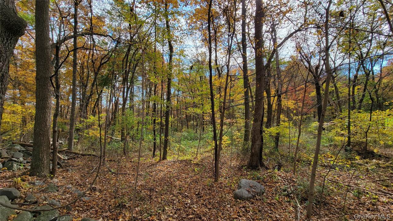  15 Rose Estates - Photo 1