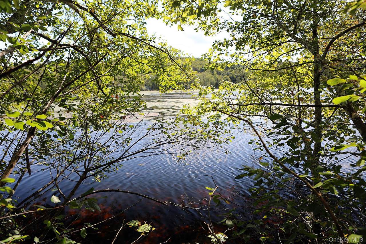 TBD George Segar Road - Photo 1