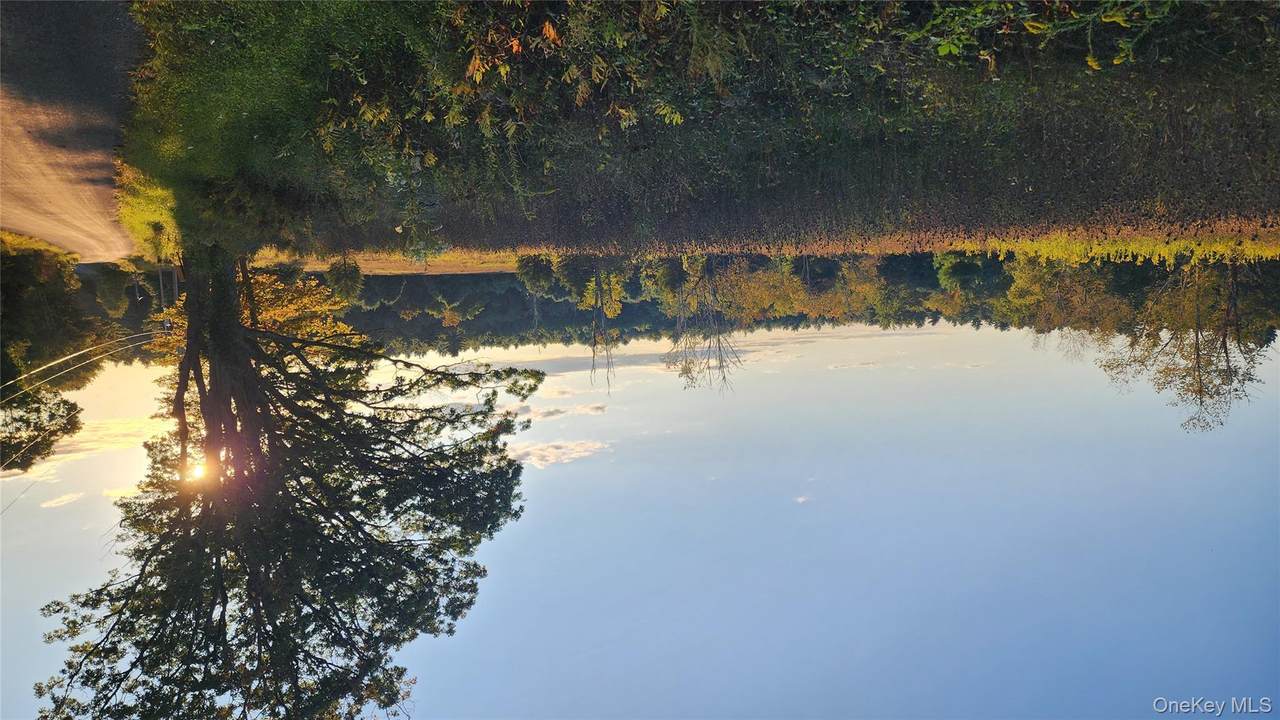 647 Irish Cape Road - Photo 1