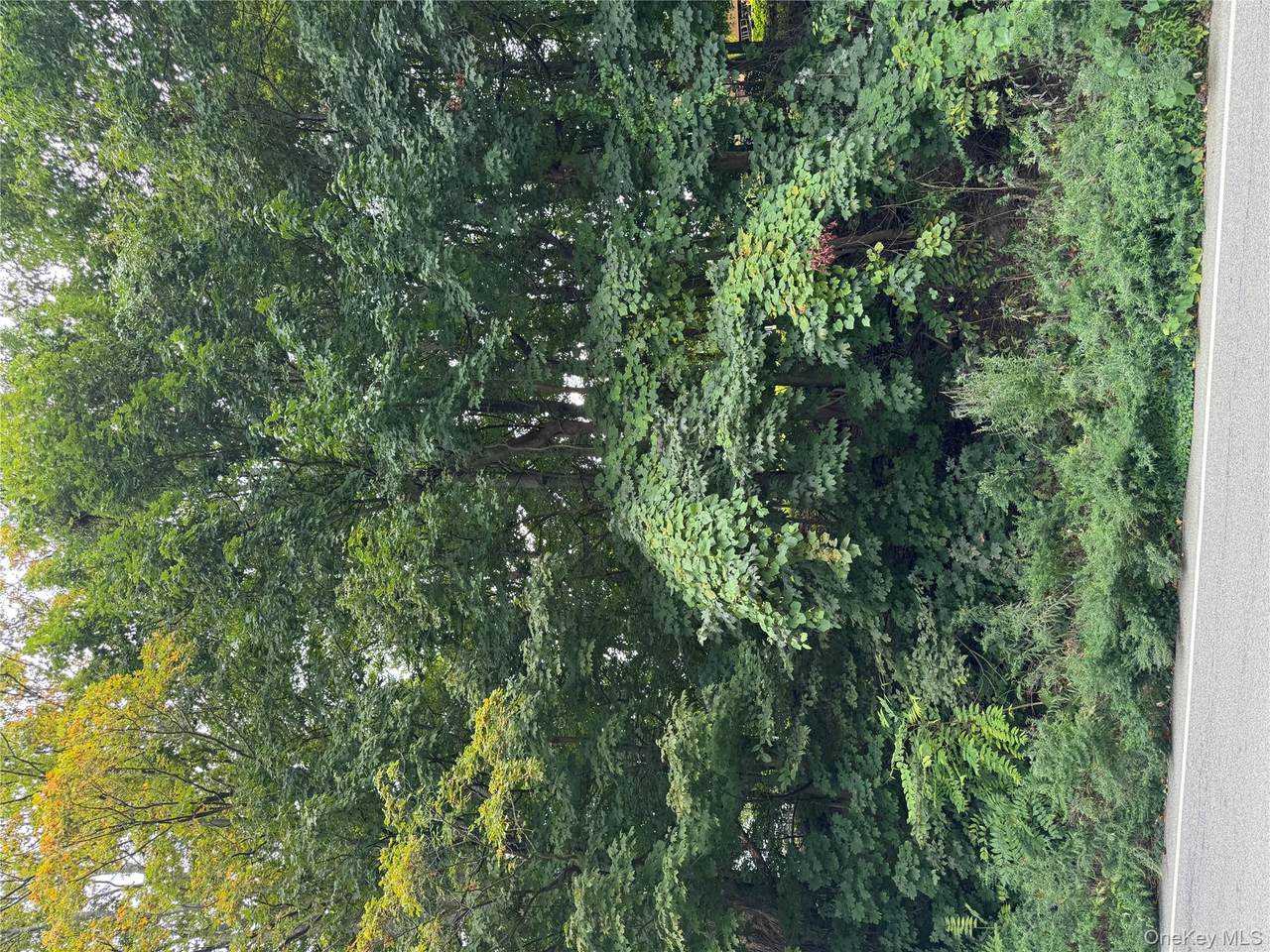 1605 Crompond Road - Photo 1