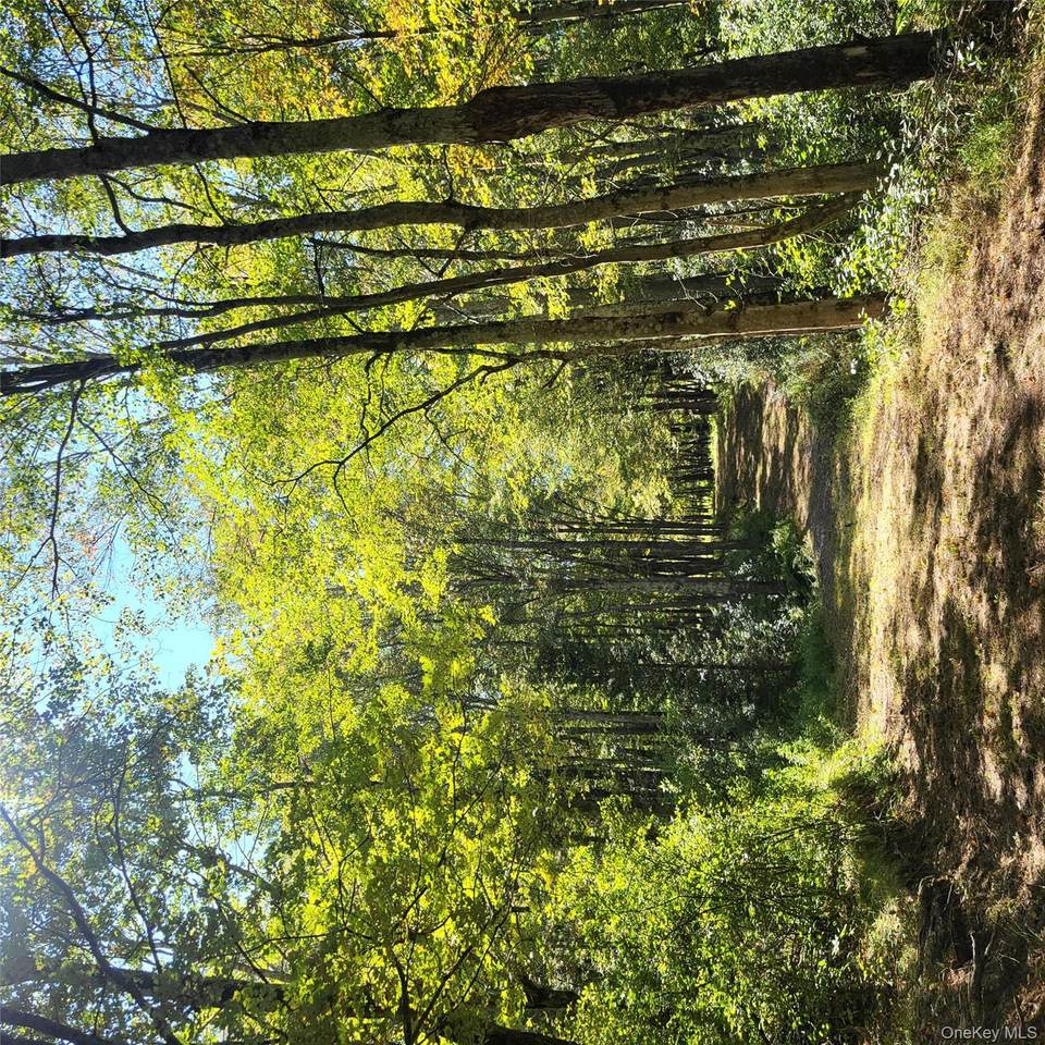 TBD Stephenson Road - Photo 1