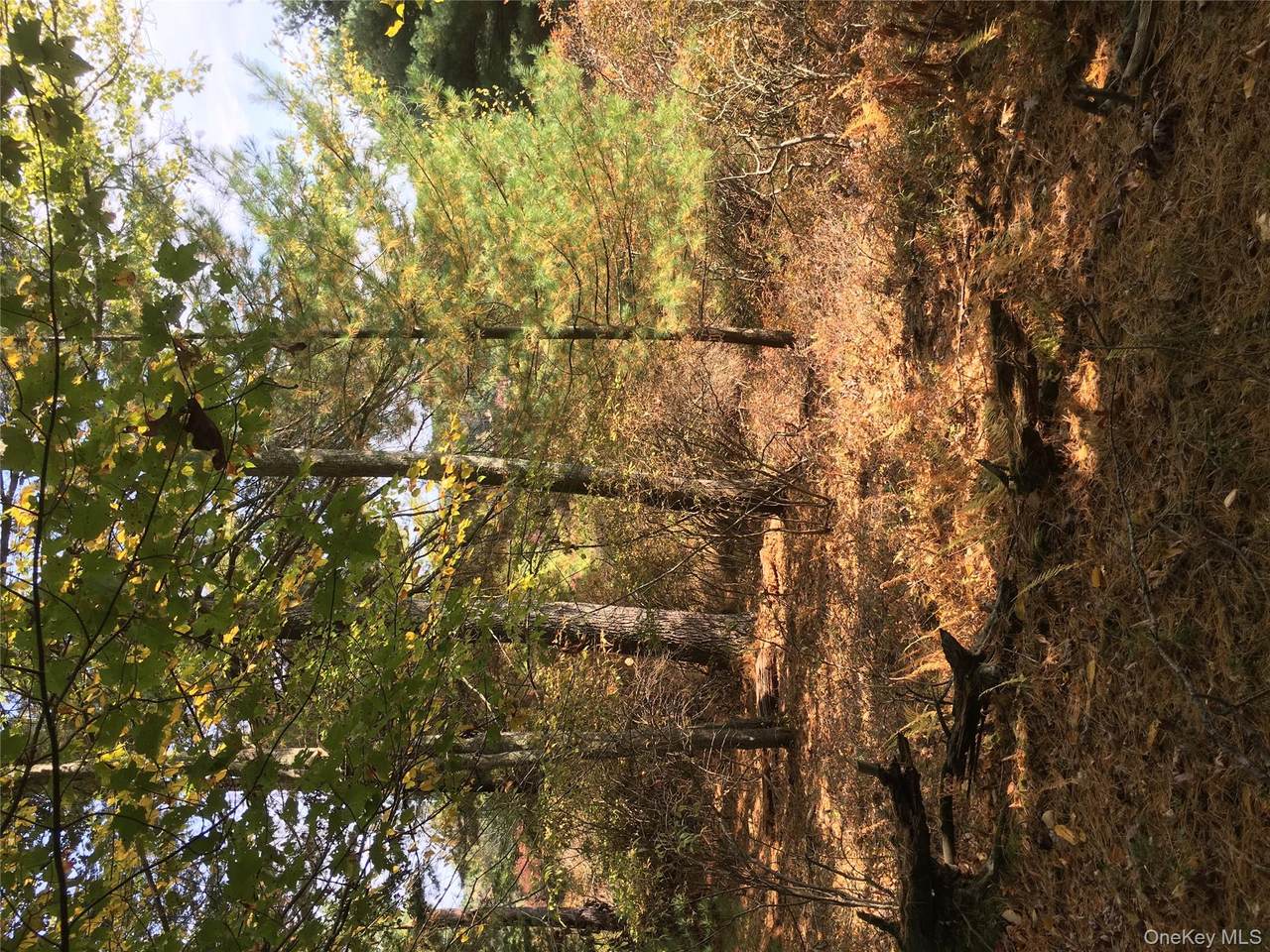 Lot 2A Renee Drive - Photo 1