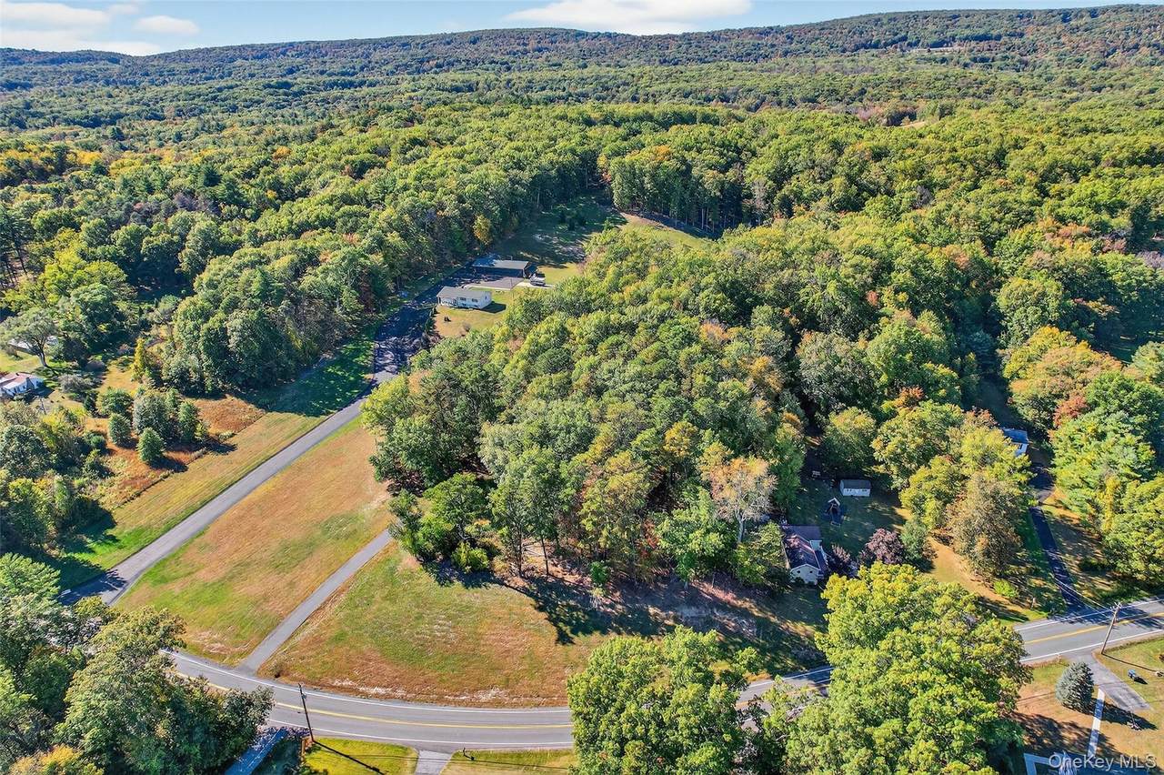 335 Burlingham Road - Photo 1