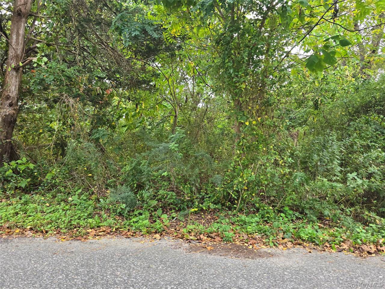 78 Lakeview Drive - Photo 1