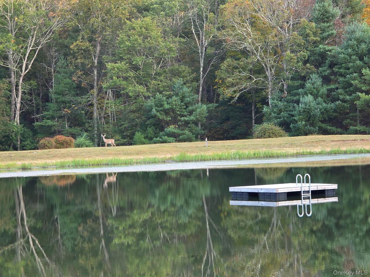  Split Rock Drive - Photo 1