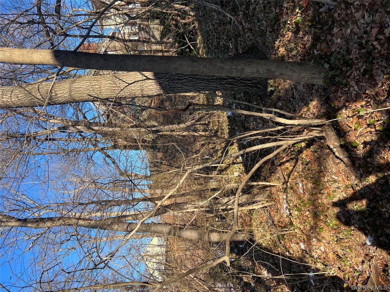 102 Courter Avenue - Photo 1