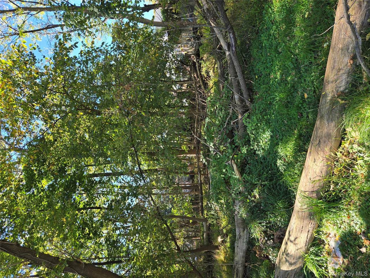 28 Genung Street - Photo 1