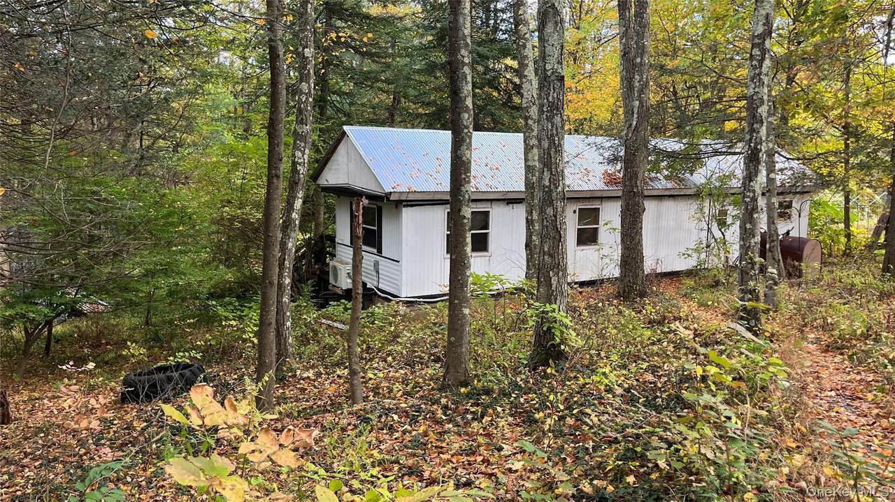 407 Swartekill Road - Photo 1