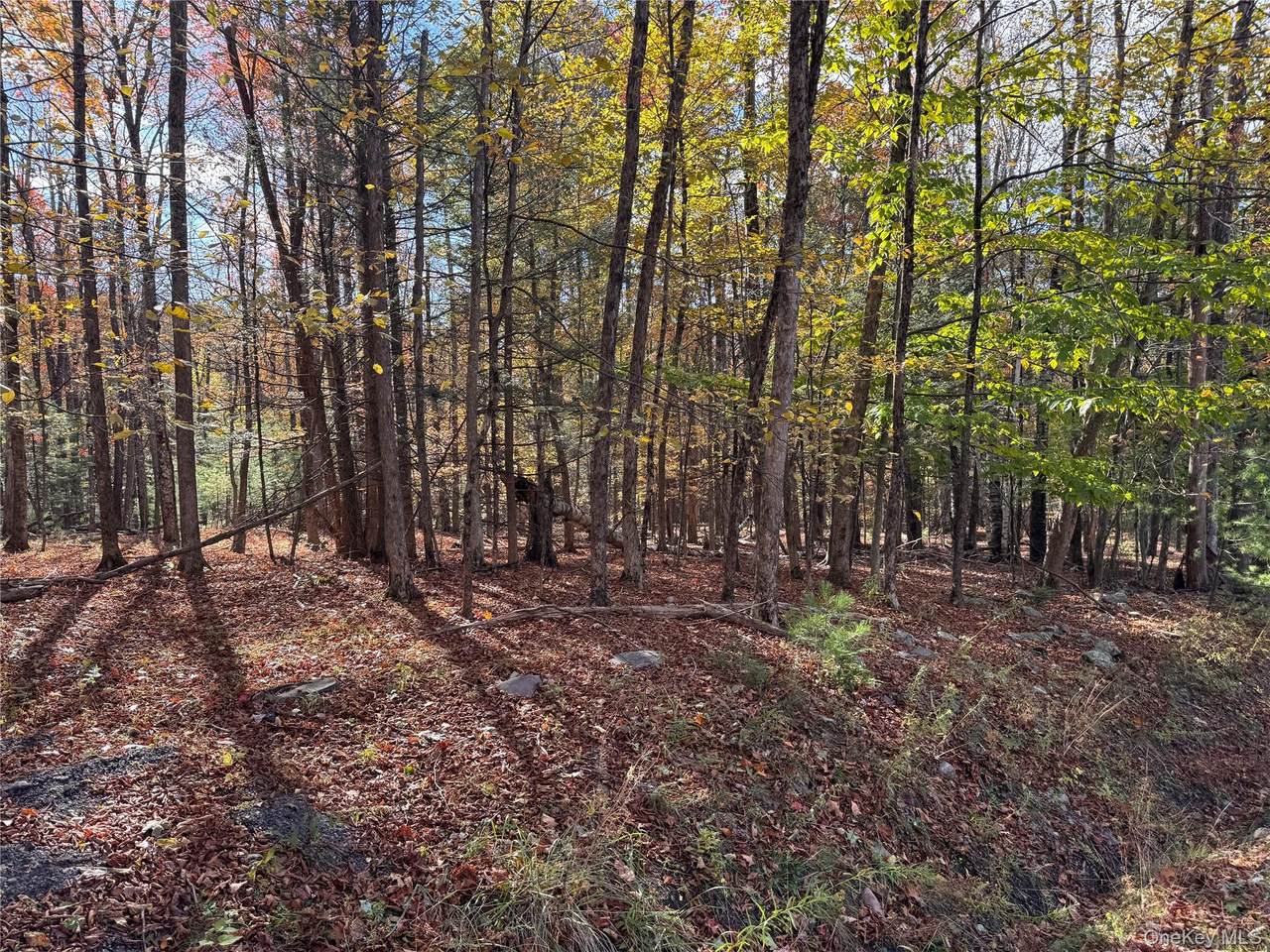 TBD Cross Patch Road - Photo 1