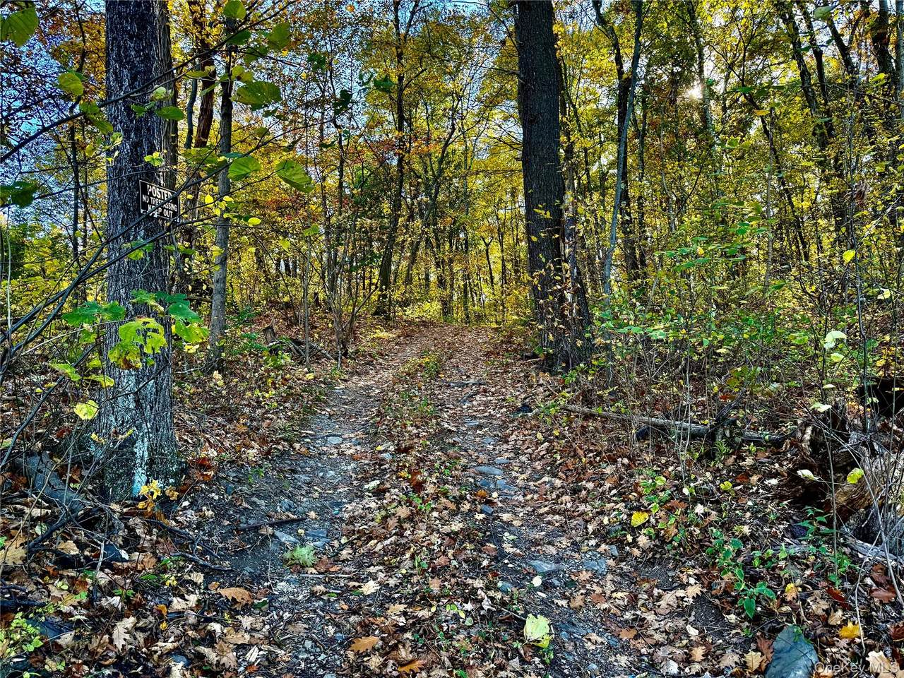 36 Fallkill Road - Photo 1