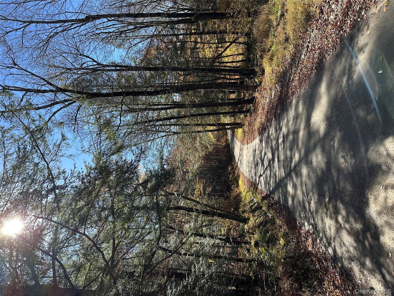 24 Mud Pond Road - Photo 1