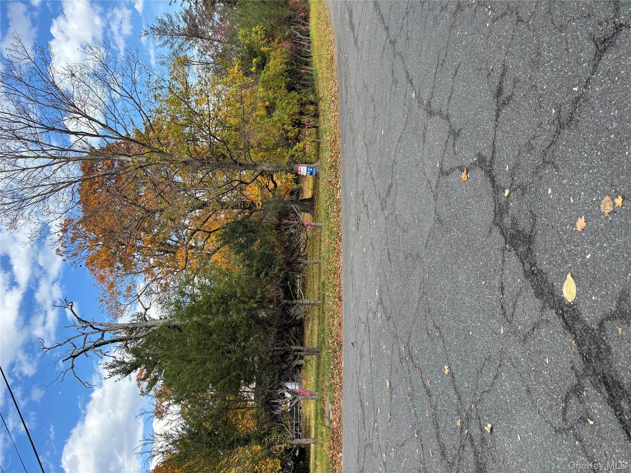 Orchard  off Manhatt Manhattan - Photo 1