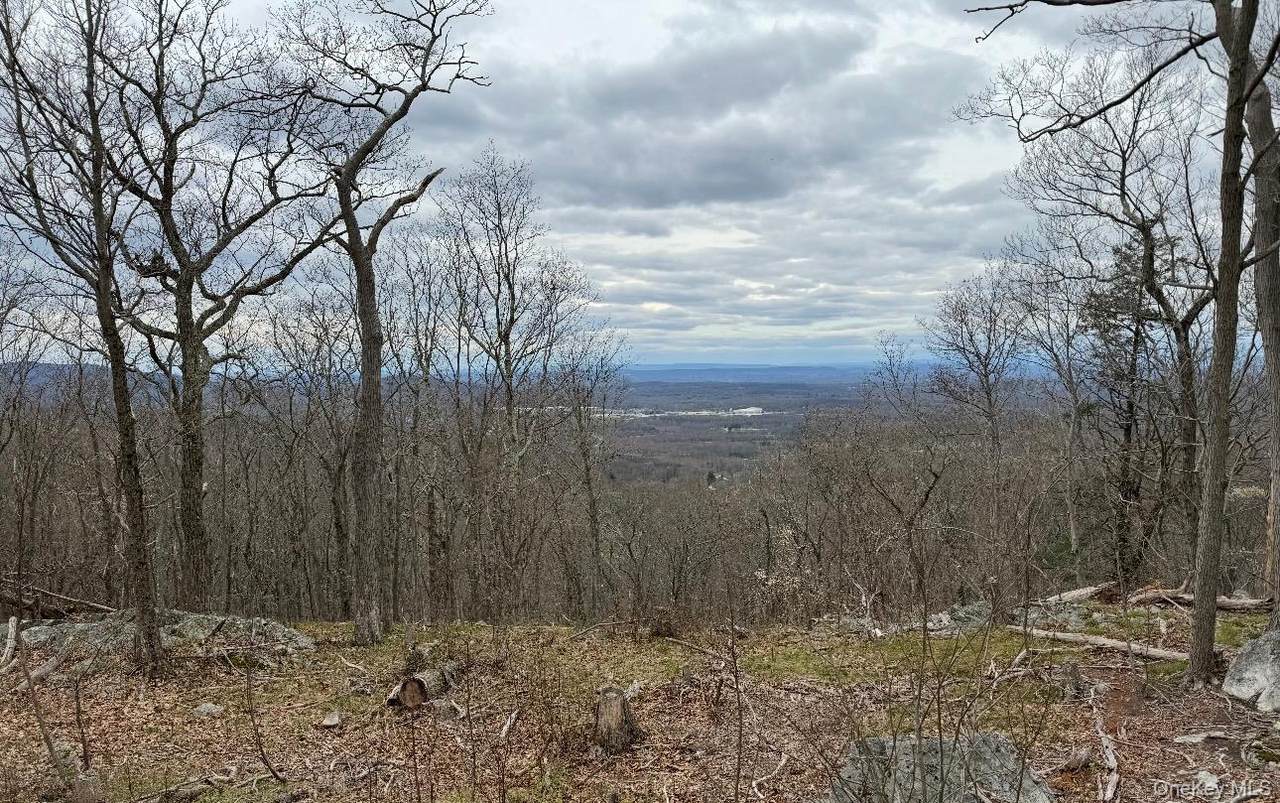  Woodmont Road - Photo 1