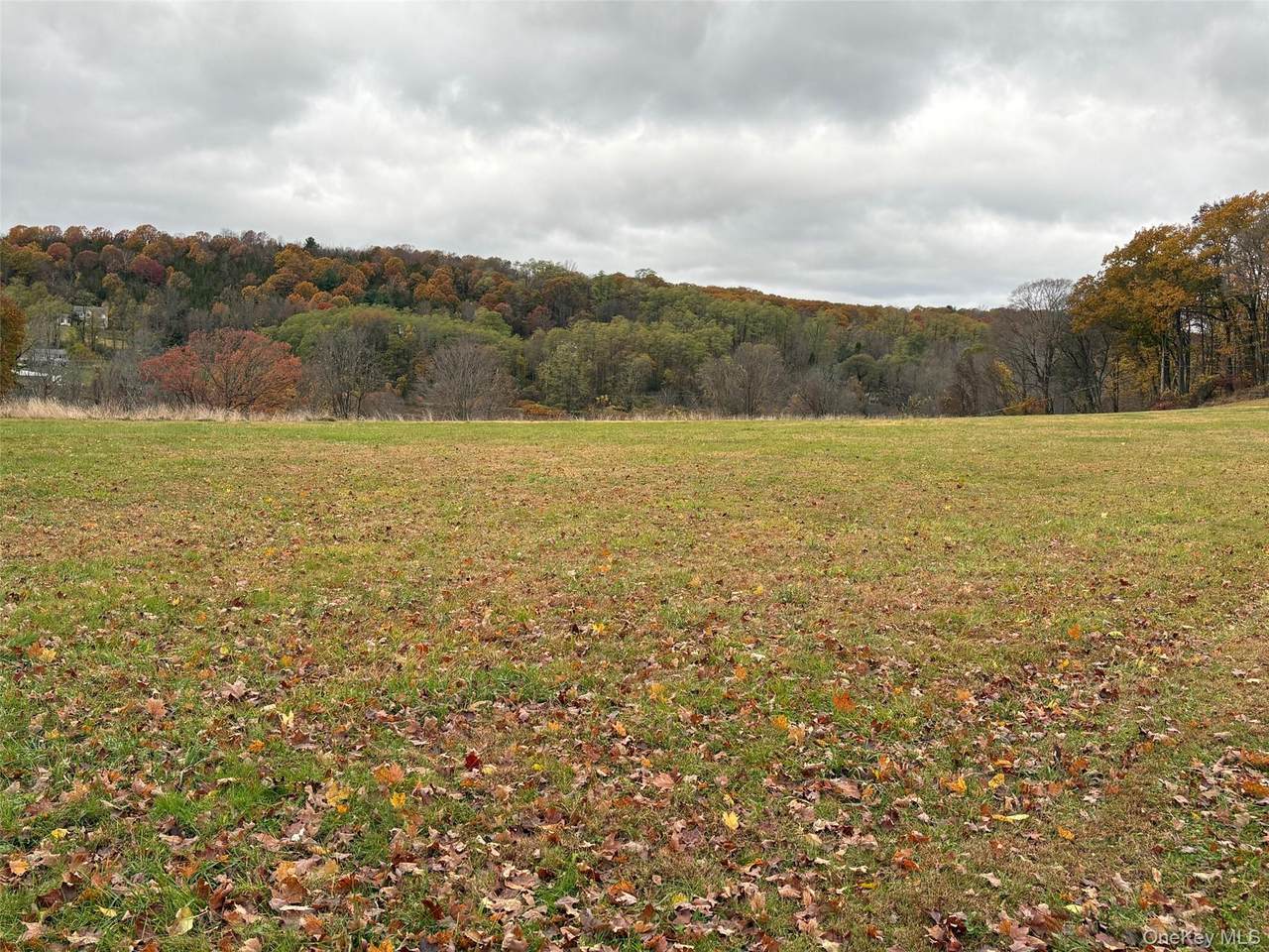  Pleasant Ridge Road - Photo 1