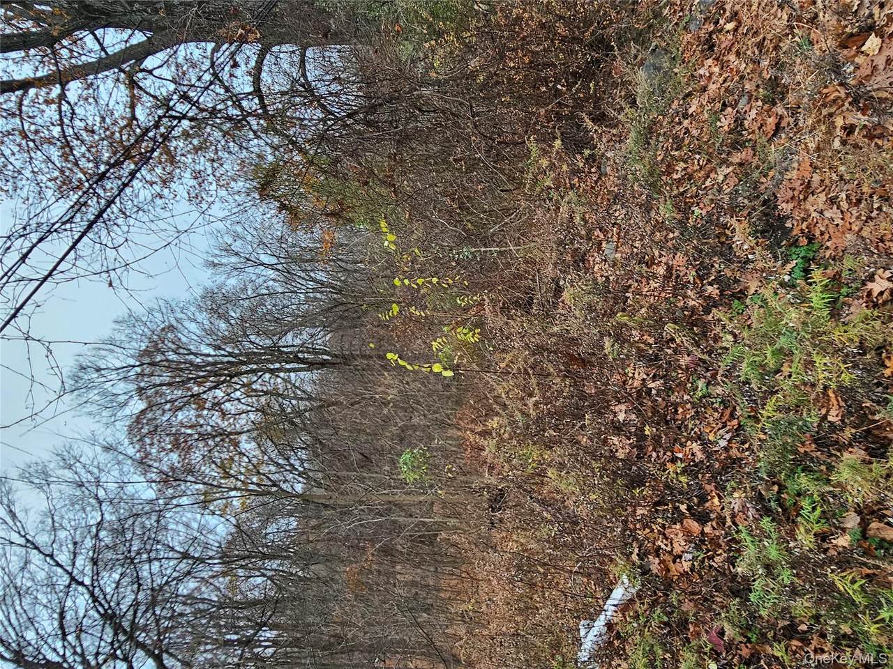 73 Sylvan Trail - Photo 1